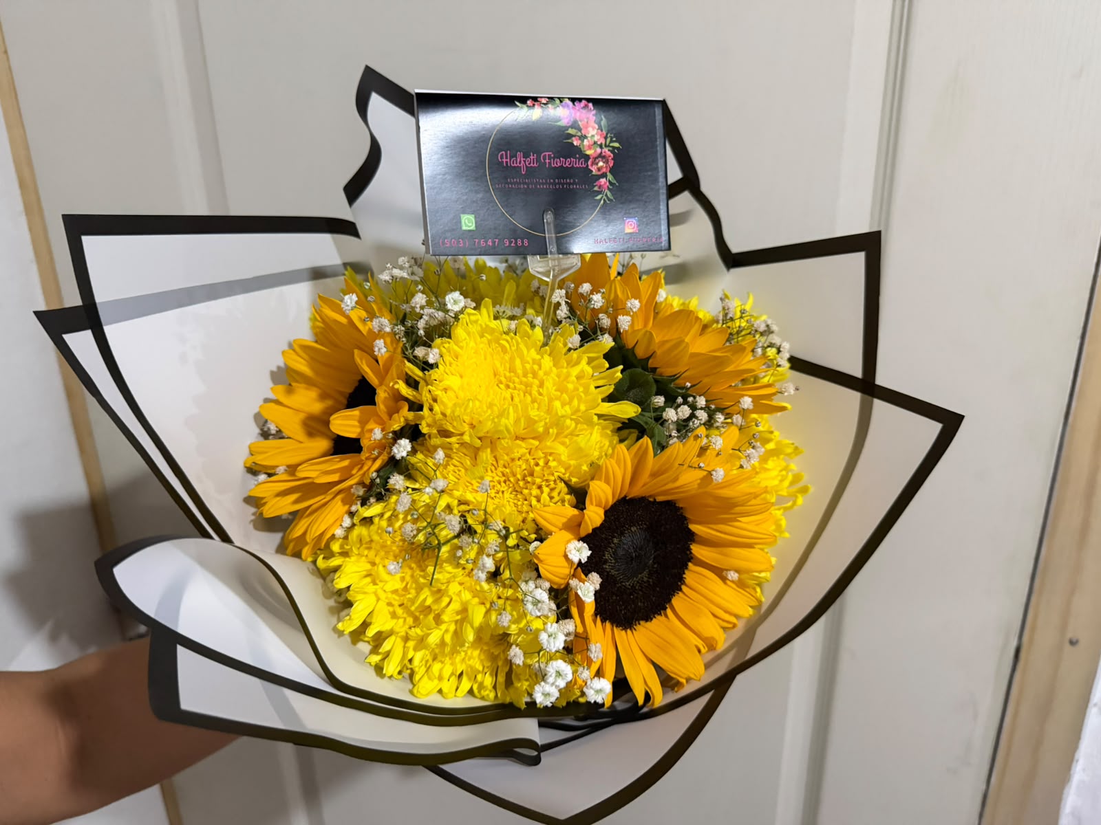 Gotitas de Sol